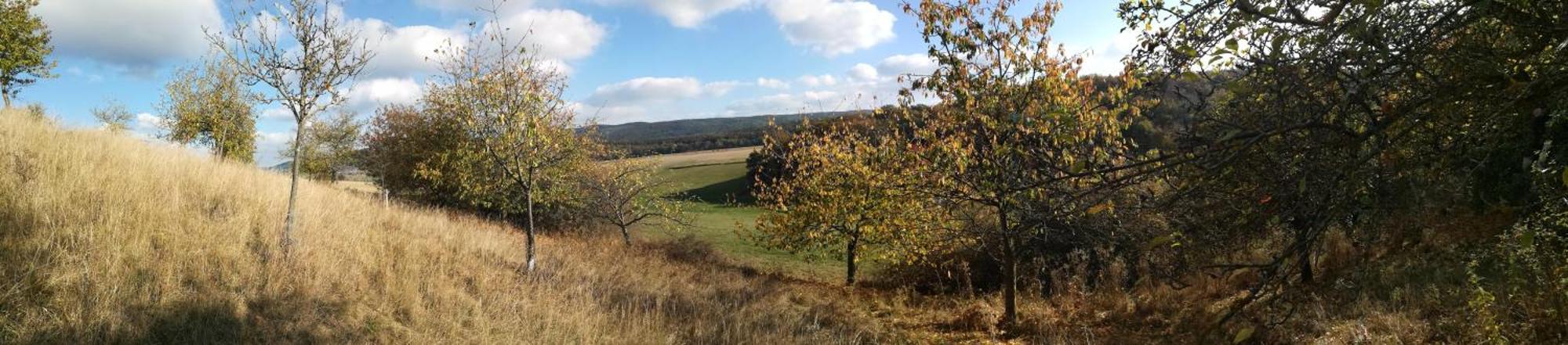 Ferienhof"Waldesel Rippersroda" Εξωτερικό φωτογραφία