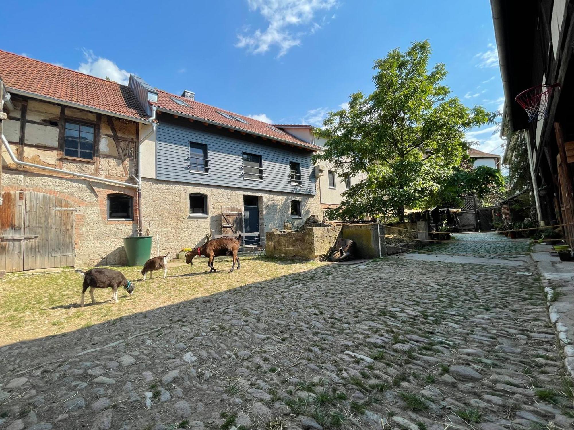 Ferienhof"Waldesel Rippersroda" Εξωτερικό φωτογραφία