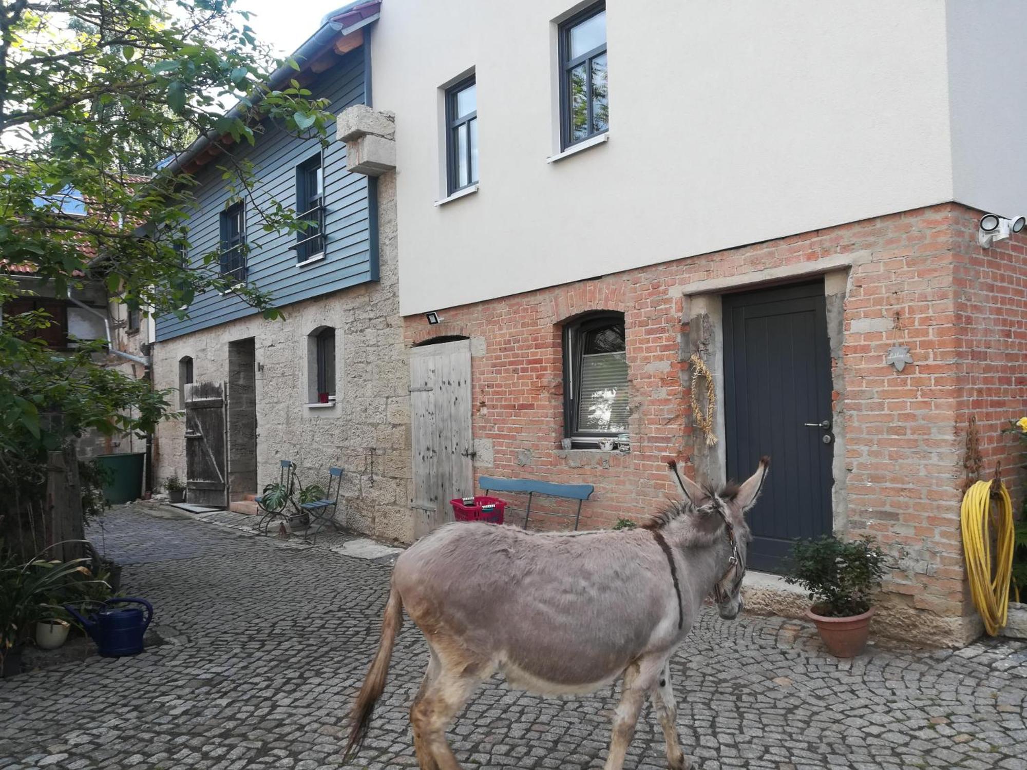 Ferienhof"Waldesel Rippersroda" Εξωτερικό φωτογραφία