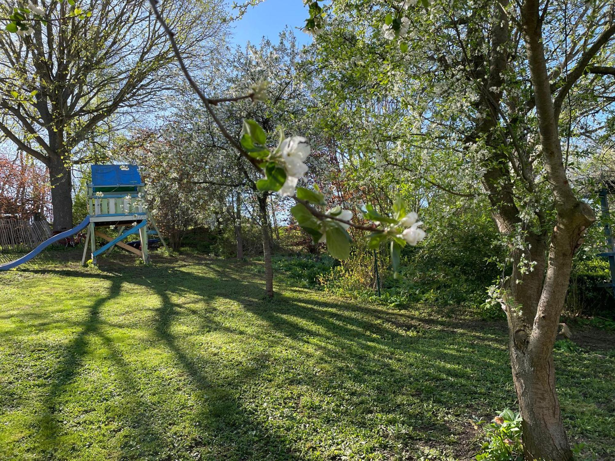 Ferienhof"Waldesel Rippersroda" Εξωτερικό φωτογραφία
