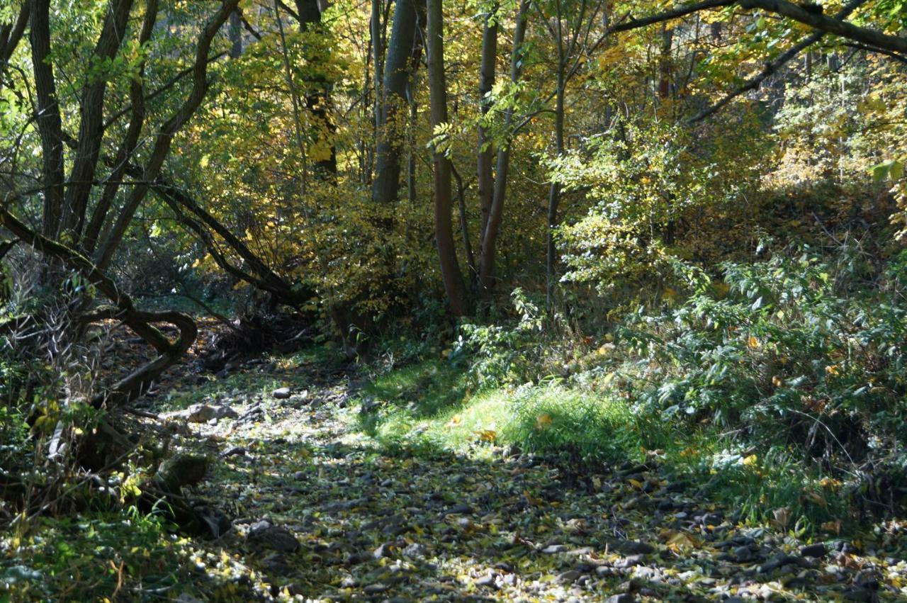 Ferienhof"Waldesel Rippersroda" Εξωτερικό φωτογραφία