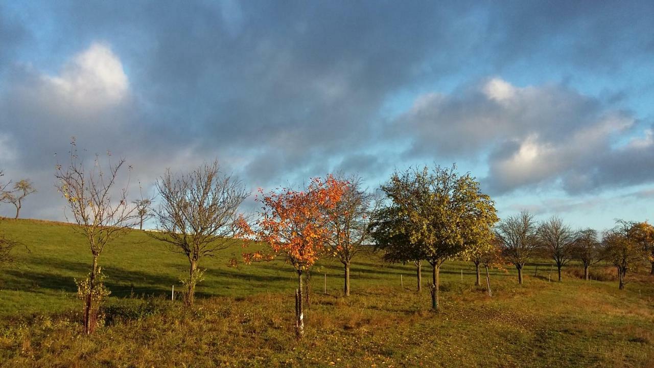 Ferienhof"Waldesel Rippersroda" Εξωτερικό φωτογραφία